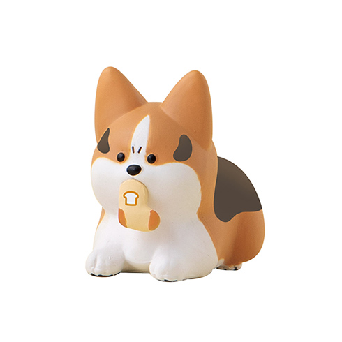 怒って靴下をとっちゃったわんちゃん