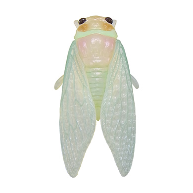 脱皮 ~蝉 夏の思い出~|ガシャポンオフィシャルサイト 脱皮 ~蝉 夏の思い出~|ガシャポンオフィシャルサイト