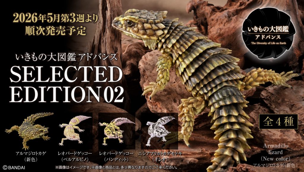 2026年5月3週目　いきもの大図鑑アドバンス SELECTED EDITION 02　