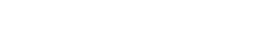 CAPSULE GUARDIAN カプセルガーディアンⅢ (ゴリラガーディアン、タートルガーディアン、バッファローガーディアン)