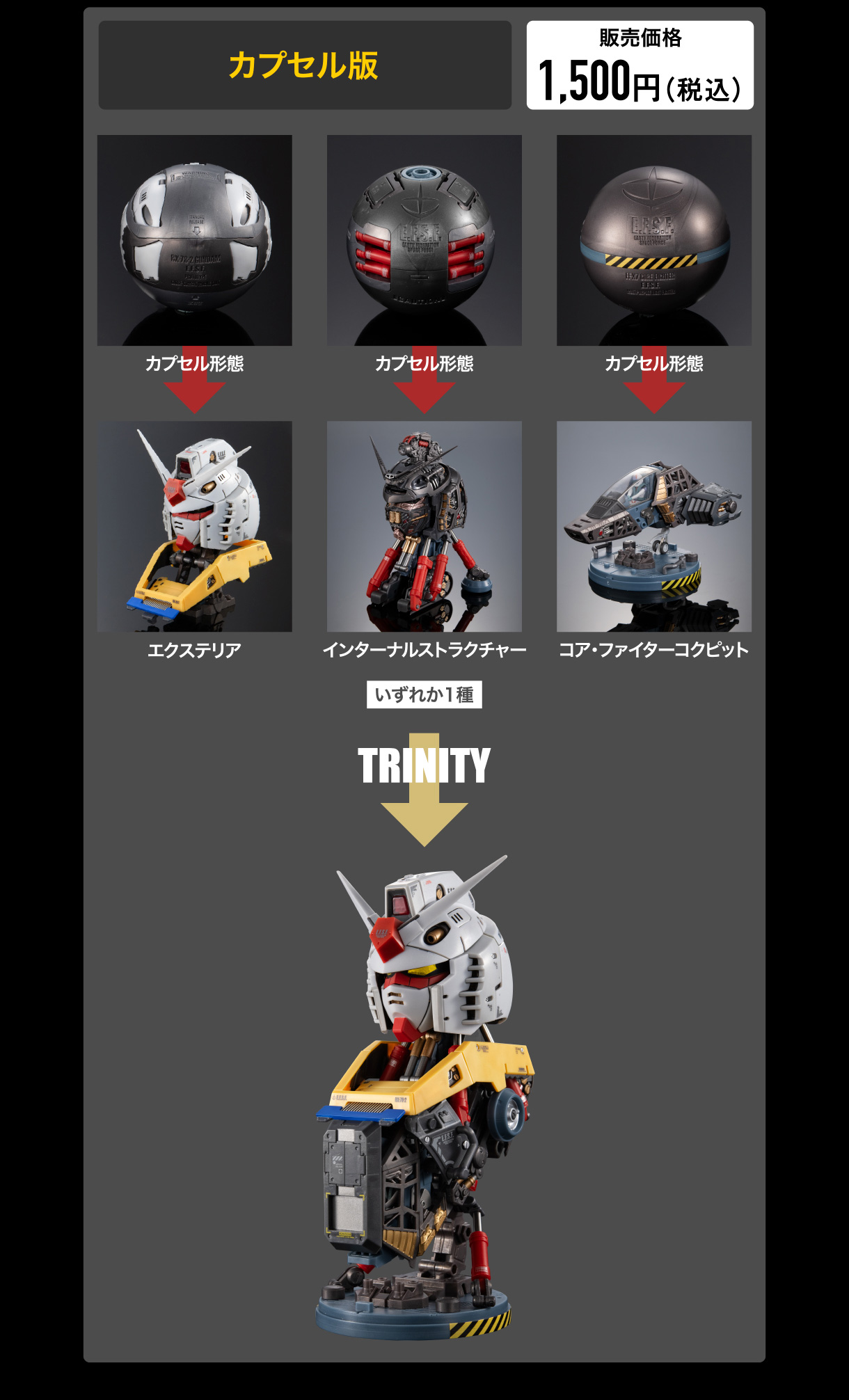 カプセル版 販売価格 1,500円(税込)
