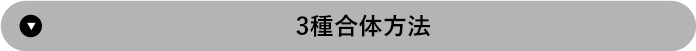 3種合体方法