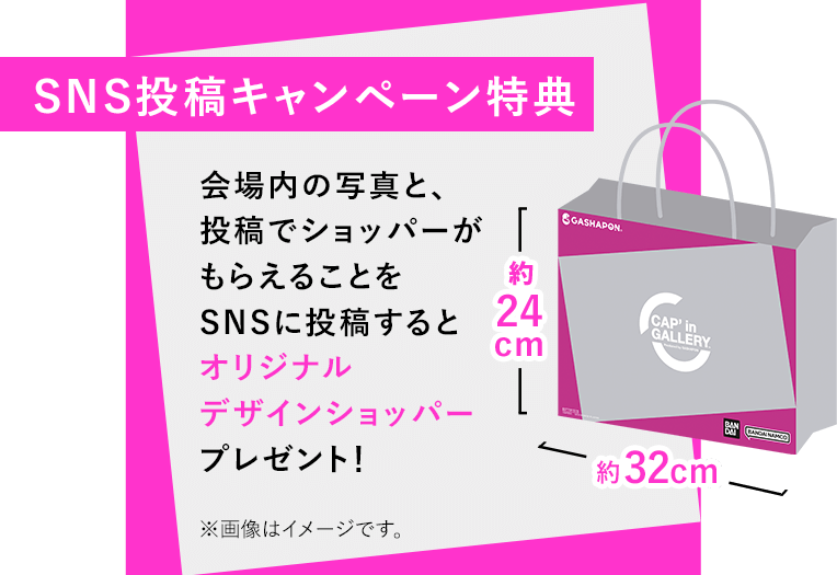 SNS投稿キャンペーン特典 会場内の写真と、投稿でショッパーがもらえることをSNSに投稿するとオリジナルデザインショッパープレゼント！