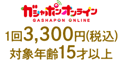 1回3,300円(税込)対象年齢15才以上