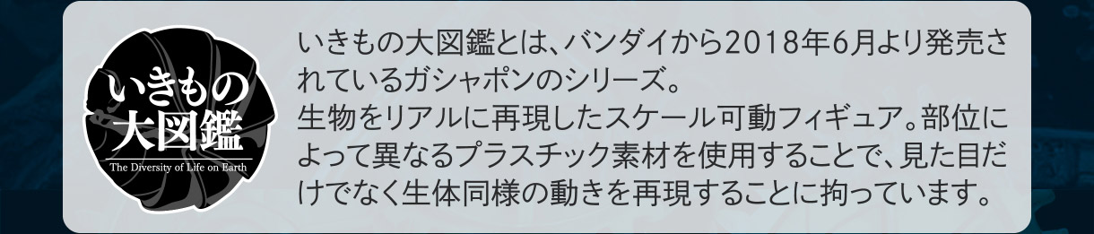 いきもの大図鑑とは、バンダイから2018年6月より発売されているガシャポンのシリーズ。生物をリアルに再現したスケール可動フィギュア。部位によって異なるプラスチック素材を使用することで、見た目だけでなく生体同様の動きを再現することに拘っています。