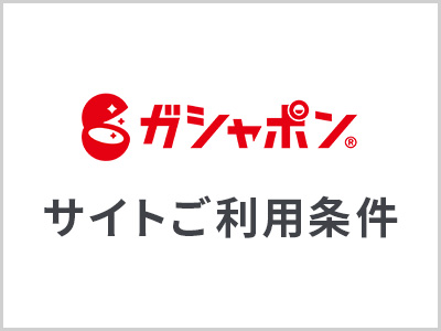 サイトご利用条件