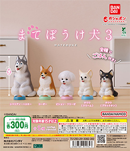 まてぼうけ 犬3