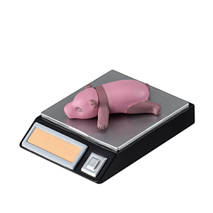 まちぼうけ パンダの場合