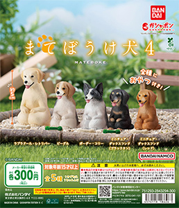 まてぼうけ 犬4