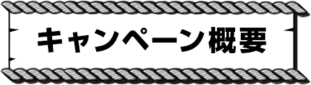 キャンペーン概要