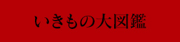 いきもの大図鑑アドバンス