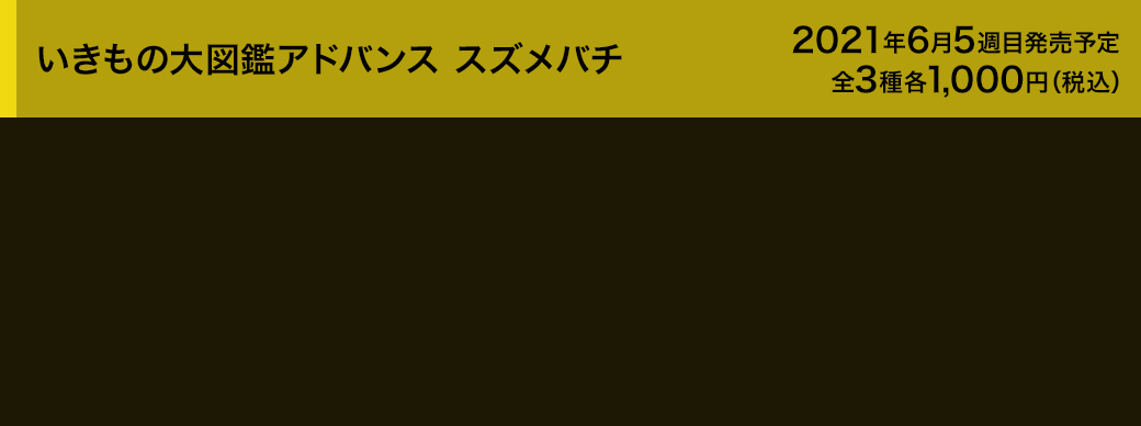 いきもの大図鑑アドバンス　スズメバチ