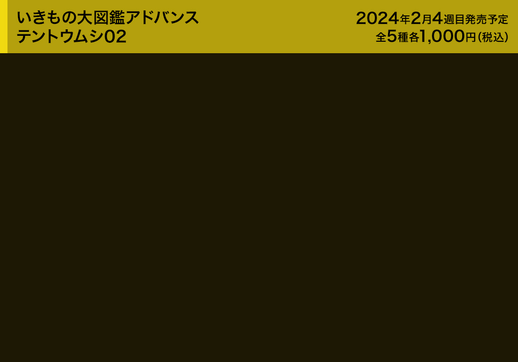 いきもの大図鑑アドバンス テントウムシ02