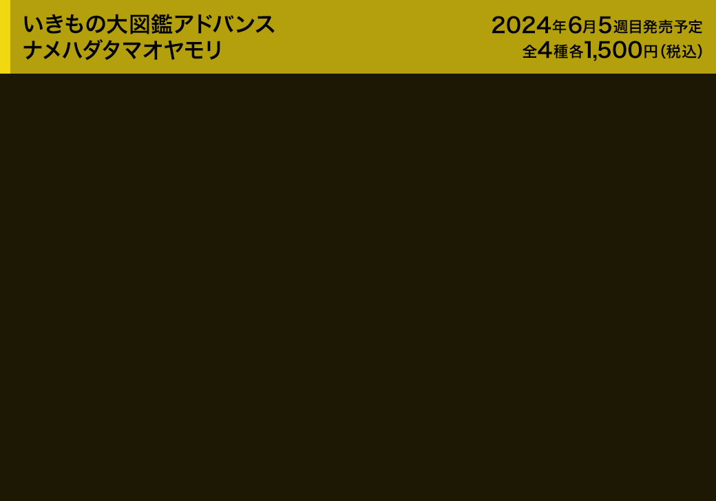 いきもの大図鑑アドバンス ナメハダタマオヤモリ