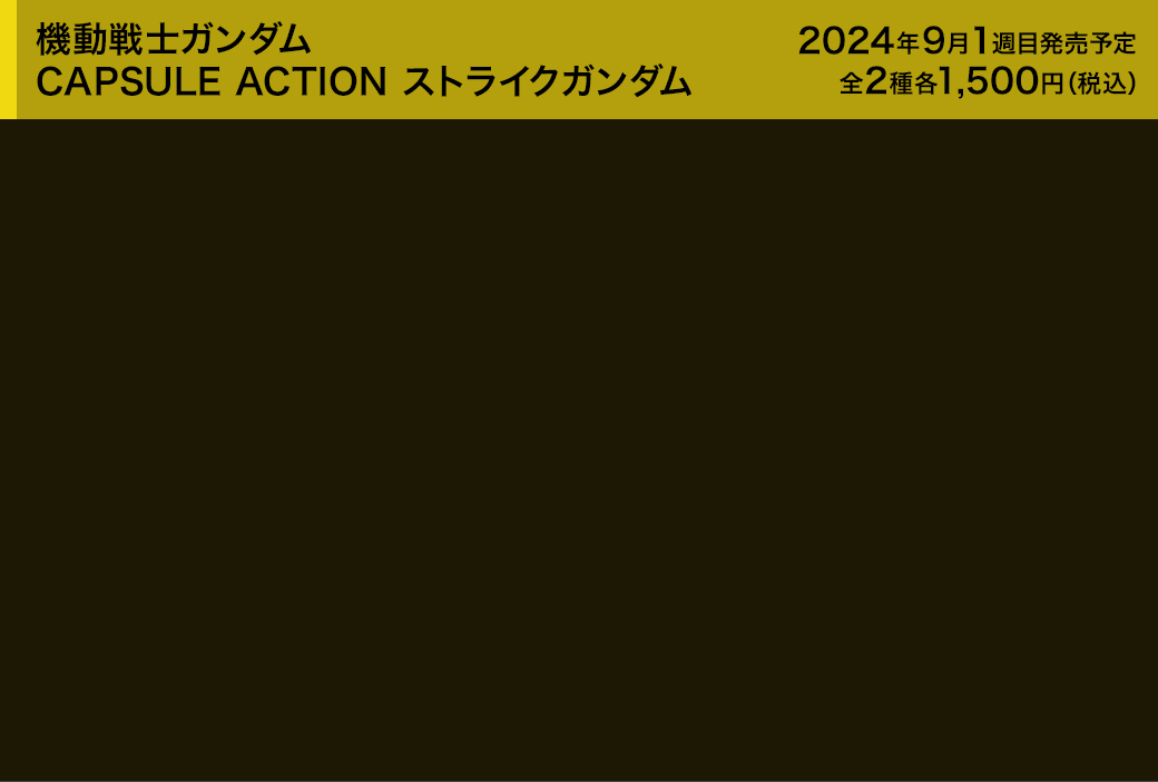 機動戦士ガンダム CAPSULE ACTION ストライクガンダム