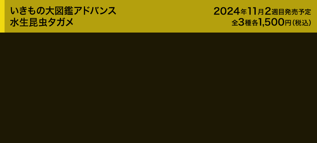 いきもの大図鑑アドバンス 水生昆虫タガメ