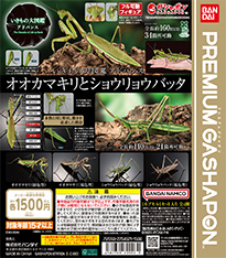 いきもの大図鑑アドバンス オオカマキリとショウリョウバッタ
