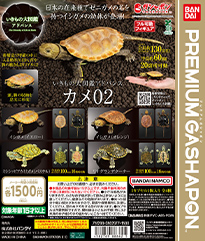 いきもの大図鑑アドバンス カメ0２