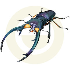 エラフスホソアカクワガタ（ブルー）