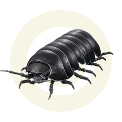 ダンゴムシ（重塗装版）