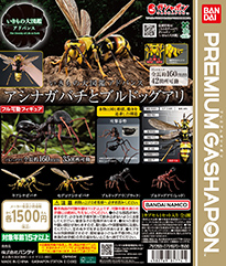 いきもの大図鑑アドバンス アシナガバチとブルドックアリ