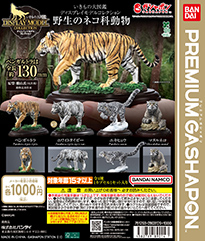 いきもの大図鑑ディスプレイモデルコレクション 野生のネコ科動物