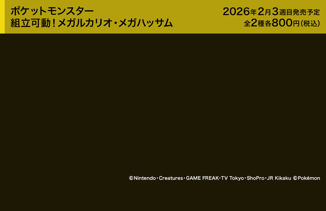 ポケットモンスター 組立可動！メガルカリオ・メガハッサム