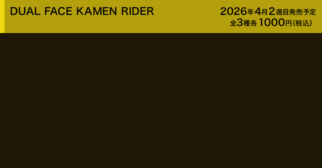 DUAL FACE KAMEN RIDER