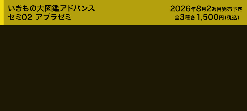 いきもの大図鑑アドバンス セミ02 アブラゼミ