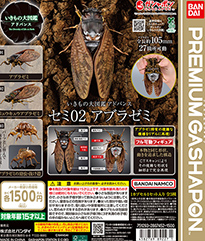 いきもの大図鑑アドバンス セミ02 アブラゼミ