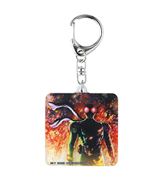 仮面ライダーシリーズ ビジュアルアートコレクション