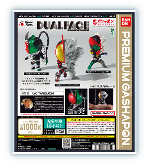 DUAL FACE KAMEN RIDER