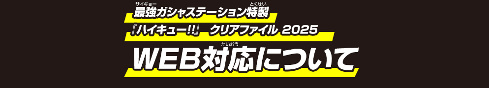 最強ガシャステーション特製 『ハイキュー!!』　クリアファイル 2025　WEB対応について