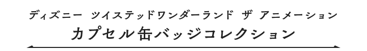 ディズニー ツイステッドワンダーランド ザ アニメーション カプセル缶バッジコレクション